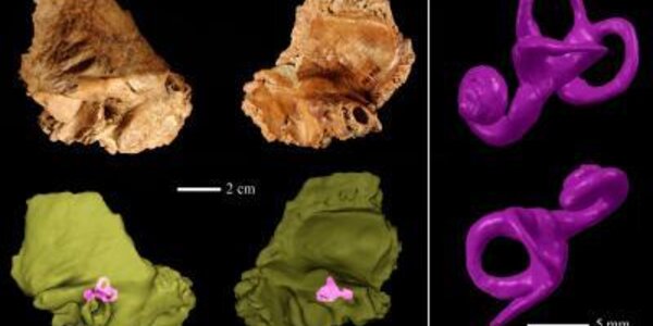 Article teaser image