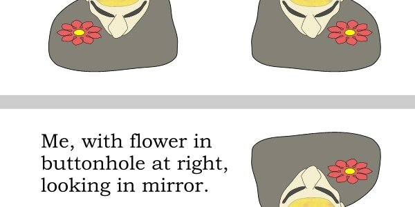 Article teaser image