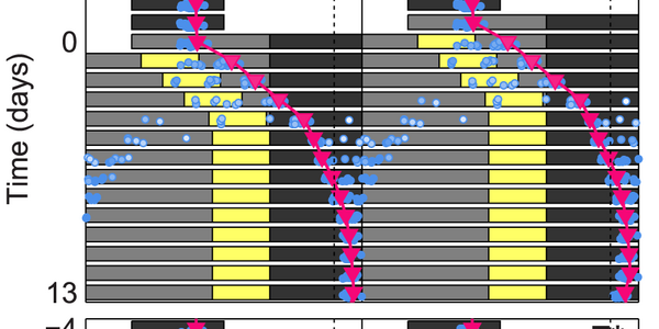 Article teaser image