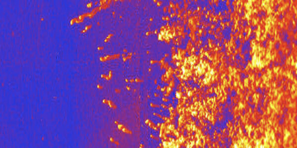 Article teaser image