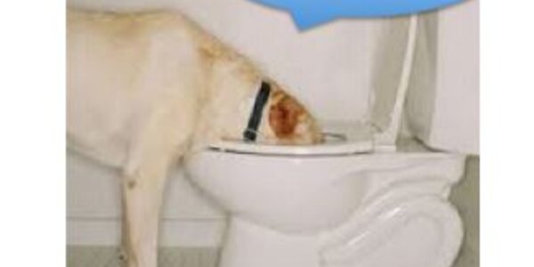 Article teaser image