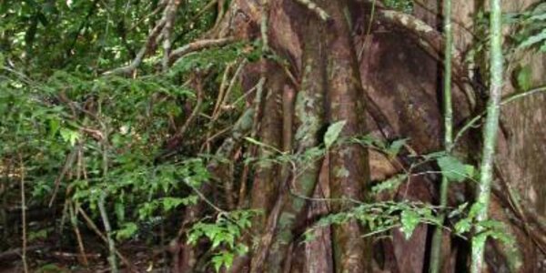 Article teaser image