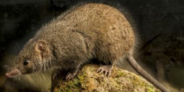 Article teaser image