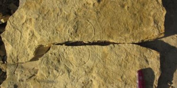 Article teaser image