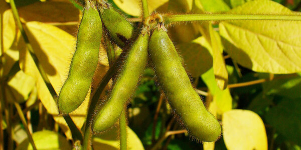 Article teaser image