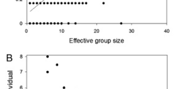 Article teaser image