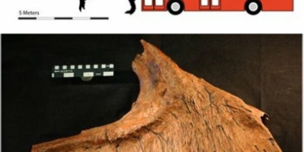 Article teaser image