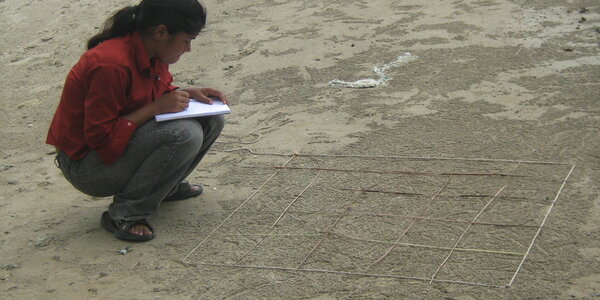 Article teaser image