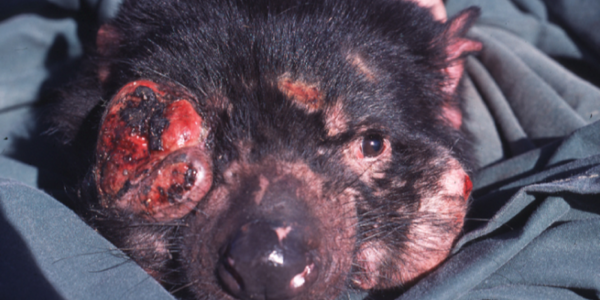 Article teaser image