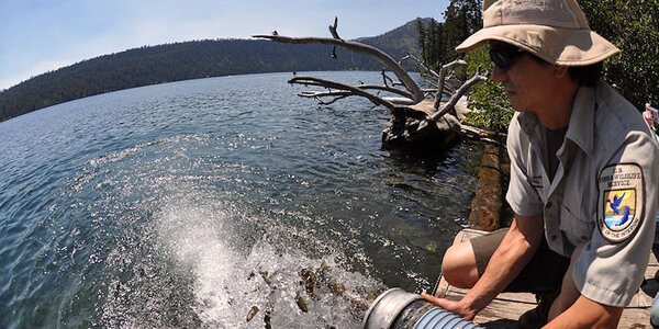 Article teaser image