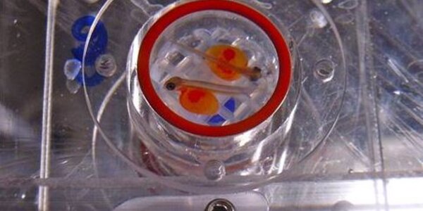 Article teaser image