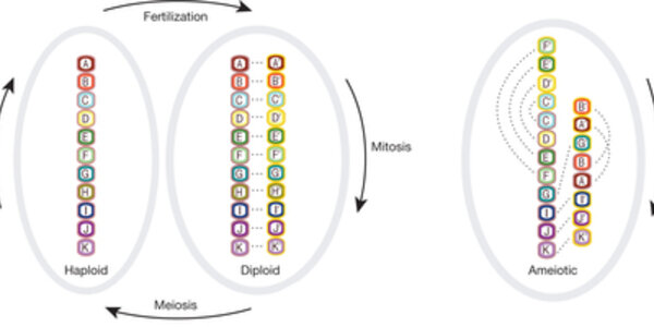 Article teaser image