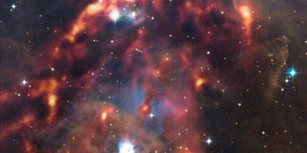 Article teaser image