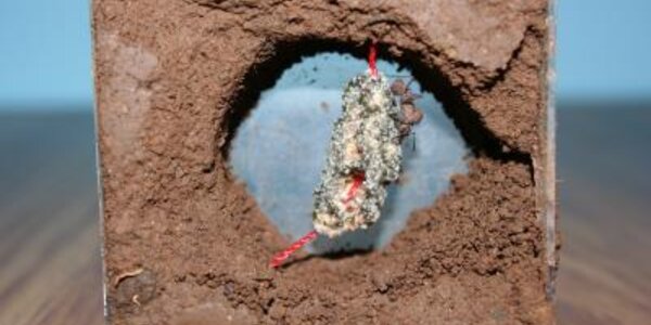 Article teaser image