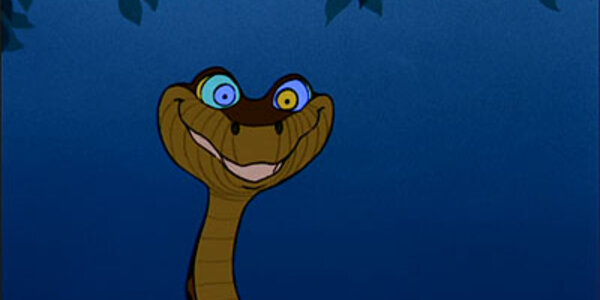 Article teaser image