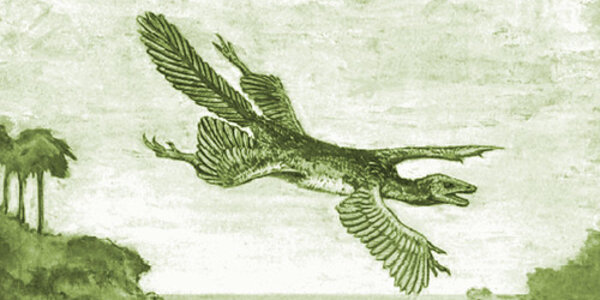 Article teaser image