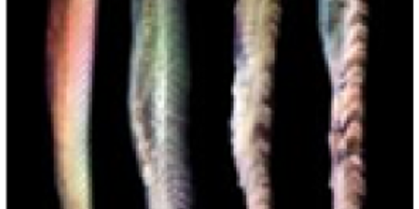 Article teaser image