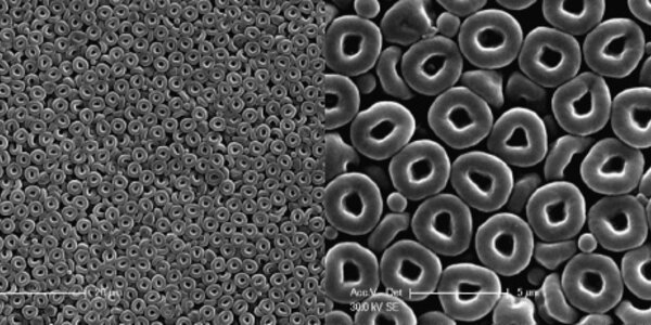 Article teaser image