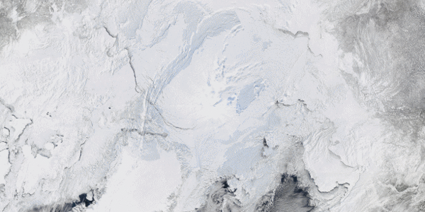 Article teaser image