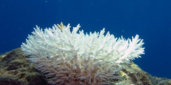 Article teaser image