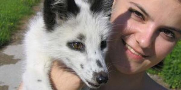 Article teaser image