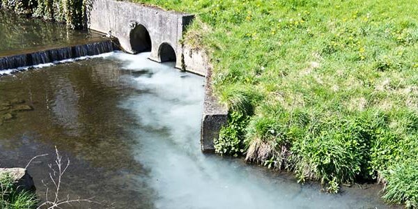 Article teaser image