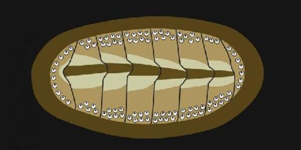 Article teaser image