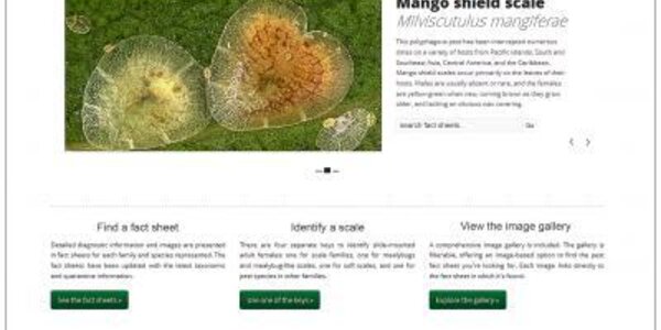 Article teaser image