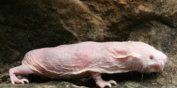 Article teaser image