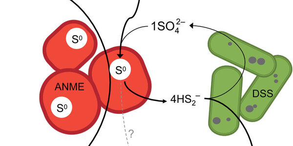 Article teaser image