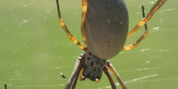 Article teaser image