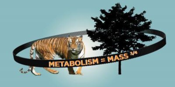 Article teaser image