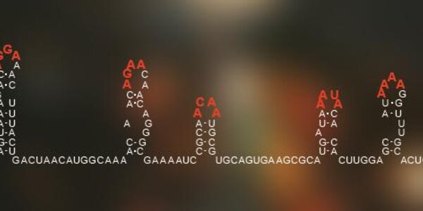 Article teaser image