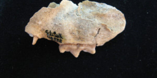 Article teaser image