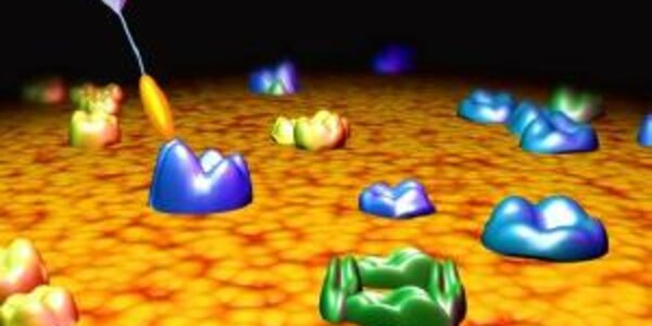 Article teaser image