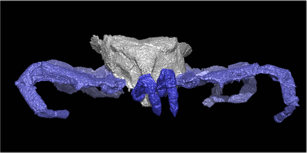 Article teaser image