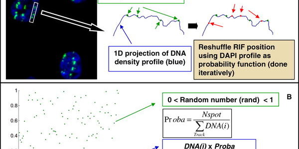 Article teaser image