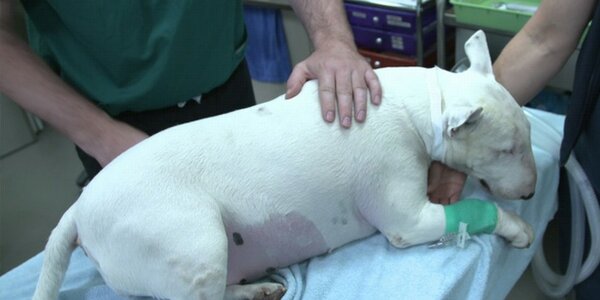 Article teaser image