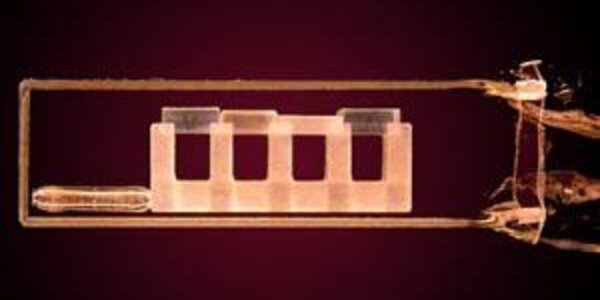 Article teaser image