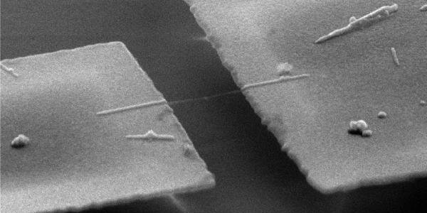 Article teaser image