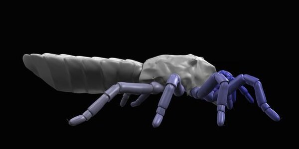 Article teaser image