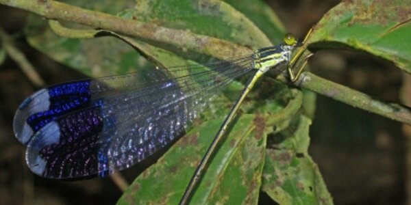 Article teaser image