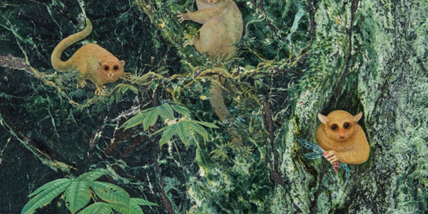 Article teaser image