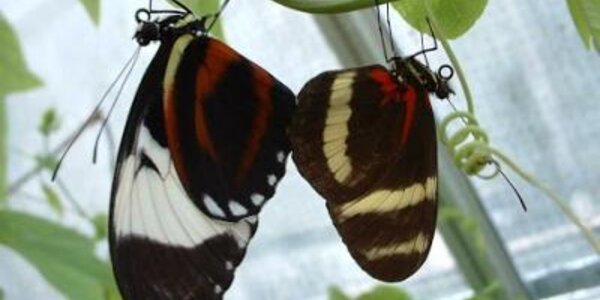 Article teaser image