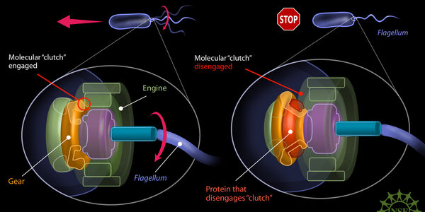Article teaser image