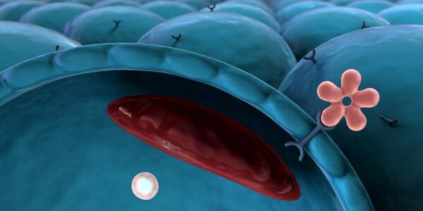 Article teaser image