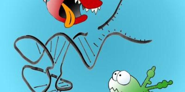 Article teaser image