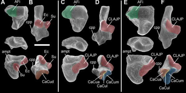 Article teaser image