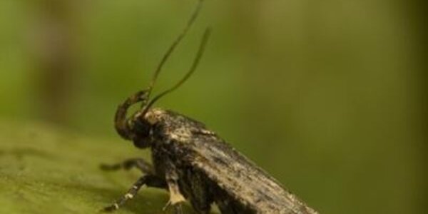 Article teaser image