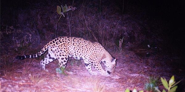 Article teaser image